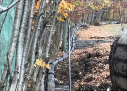 Pipe installation along line of trees