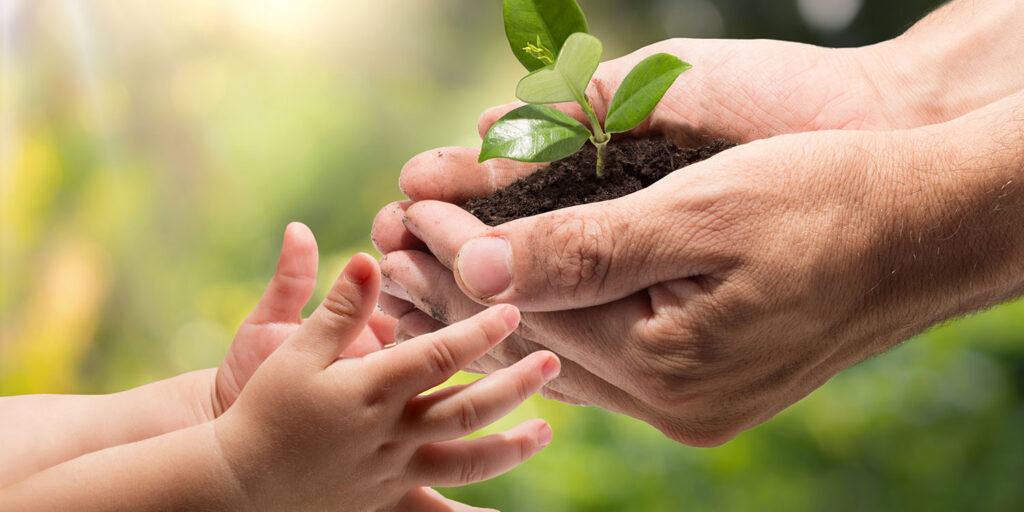 adult handing a young plant in soil to a baby's hands